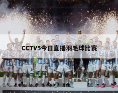 cctv5体育节目表如下：新闻栏目：《体育世界》、《体育新闻》、《体坛快讯》、《体育晨报》