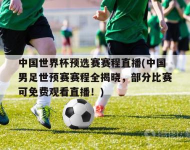 中国世界杯预选赛赛程直播(中国男足世预赛赛程全揭晓，部分比赛可免费观看直播！)