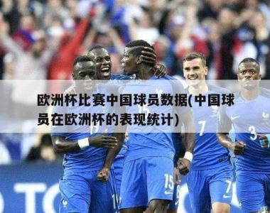欧洲杯比赛中国球员数据(中国球员在欧洲杯的表现统计)